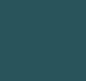 T63_TEAL
